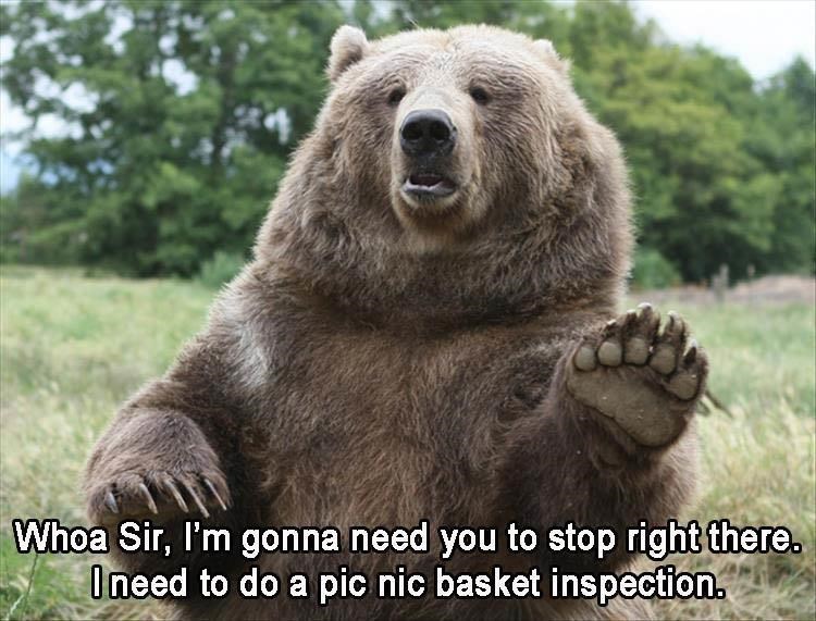 picnic-basket-inspection