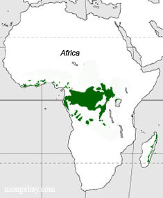 rainforest_map_africa.jpg