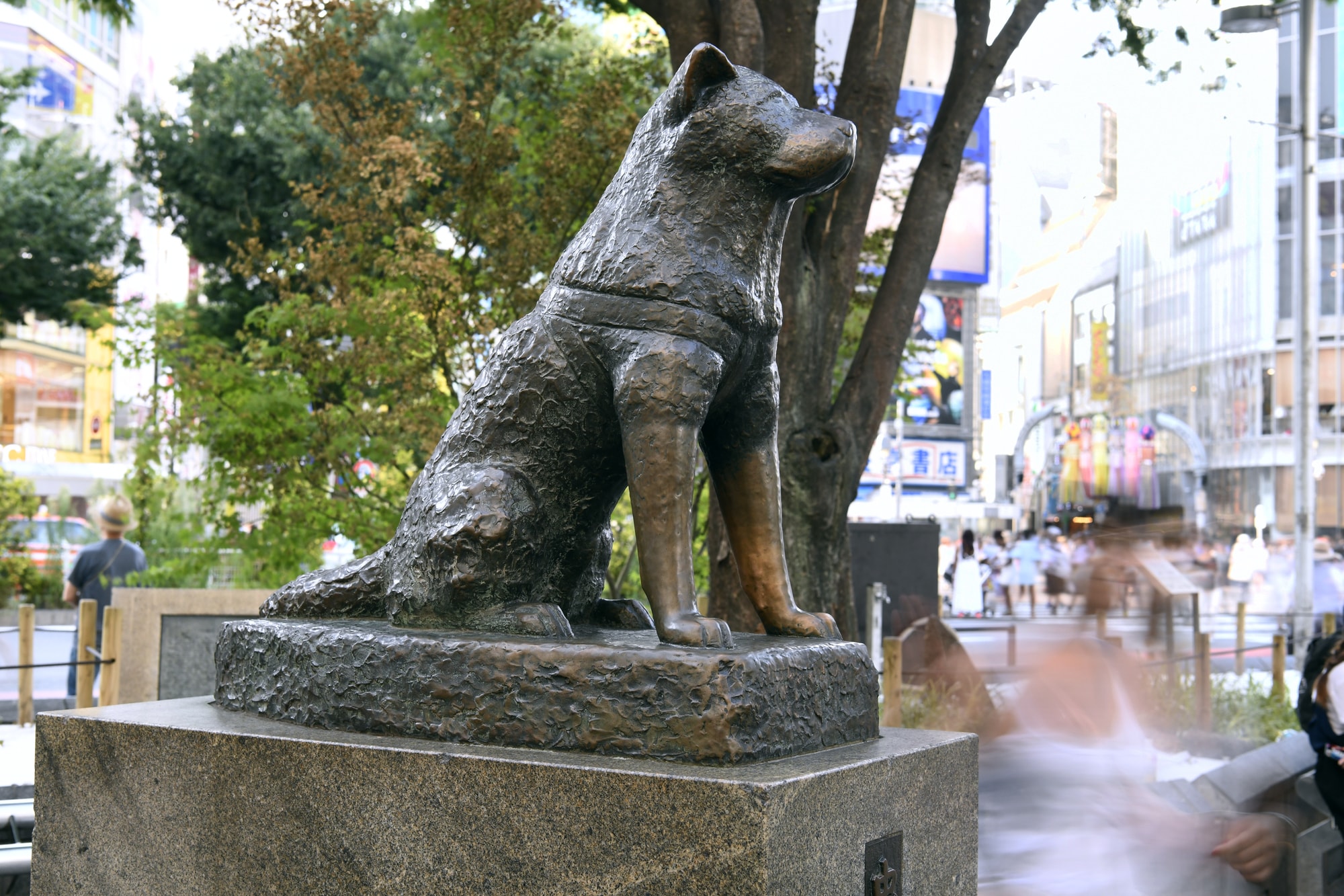 Hachiko-Statue.jpg