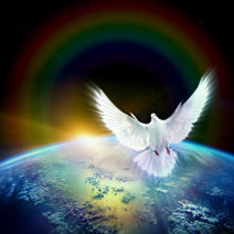 Holy Spirit dove.jpg
