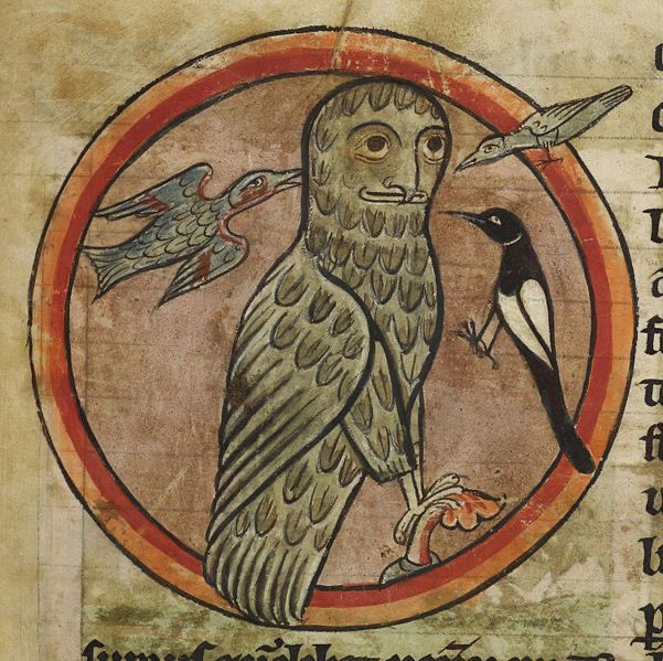 Medieval Owl.jpg