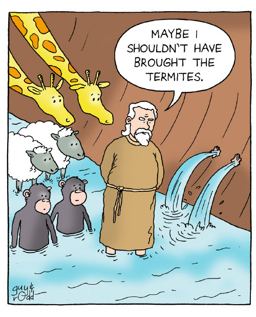 noah-ark-termites.jpg