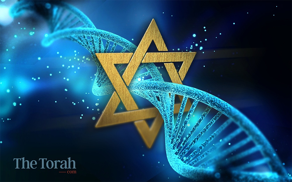 Torah DNA.jpeg