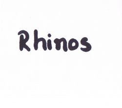 Rhinos.jpg