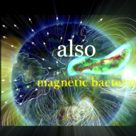 geomagnetism