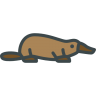 PositivePlatypus