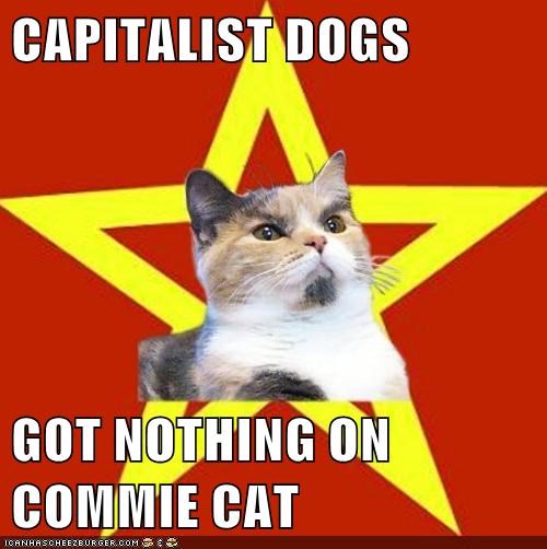 capitalist-dogs-got-nothing-on-commie-cat