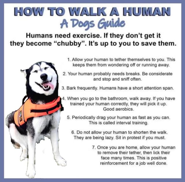 how-to-walk-a-human-v0-a7cfwcuqiya81.jpg