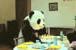 panda-birthday-cake-rage-6p09gmo6o5rb7n5x.gif