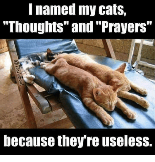 thoughts-prayers-memes.png