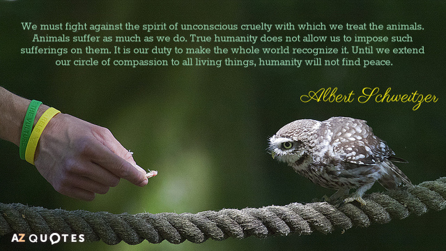 Quotation-Albert-Schweitzer-We-must-fight-against-the-spirit-of-unconscious-cruelty-with-43-78-20.jpg