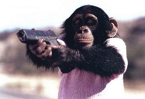 Funny+Monkeys+With+Gun_.jpg