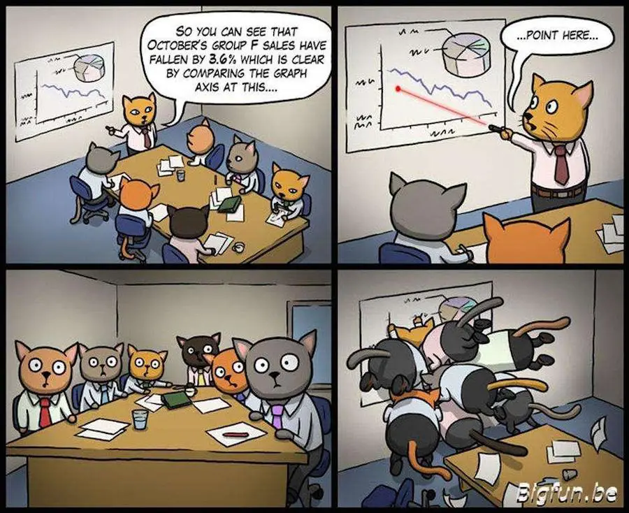 why-cats-should-not-be-in-business-meetings.jpg