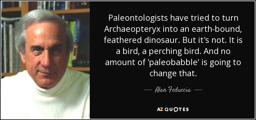 quote-paleontologists-have-tried-to-turn-archaeopteryx-into-an-earth-bound-feathered-dinosaur-alan-feduccia-73-64-67.jpg