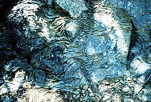 220px-Stromatolites.jpg