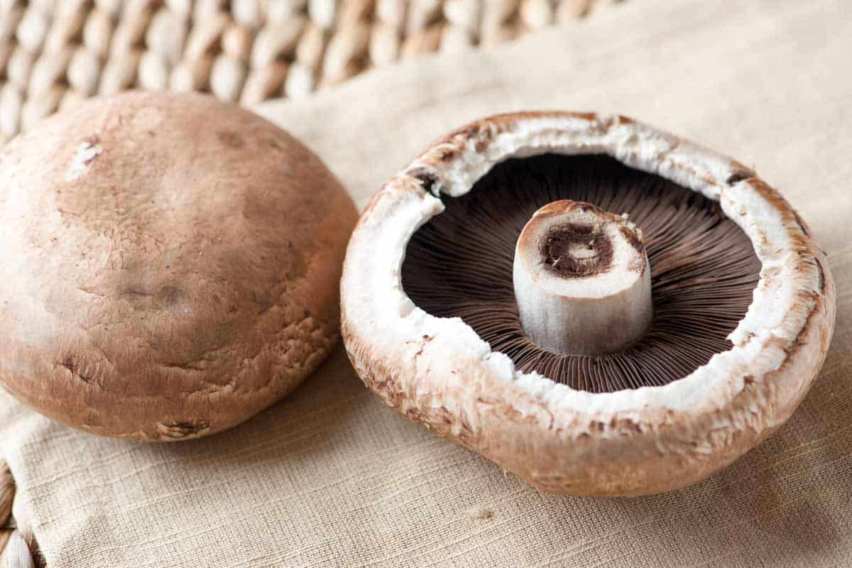 Roasted-Portobello-Mushroom-Recipe-2-1200.jpg