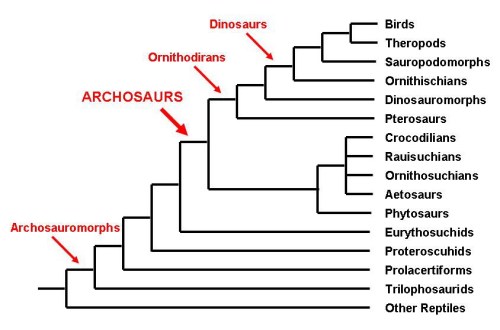 archosaurs-tree1.jpg