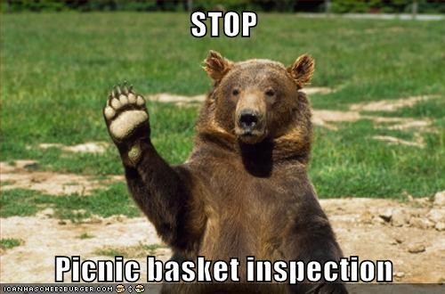 picnic-basket-inspection.jpg