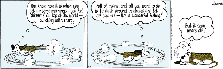Fred Basset Comic Strip for May 01, 2024 