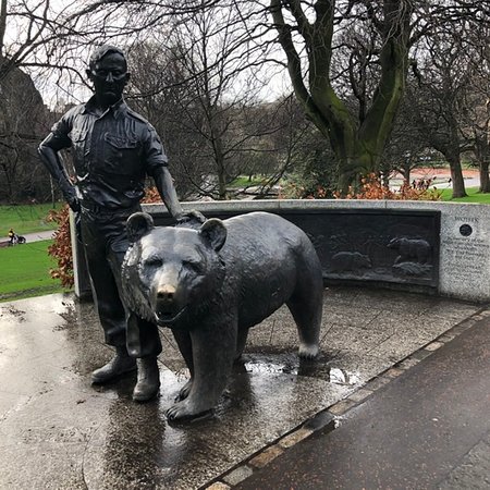 wojtek-the-soldier-bear.jpg