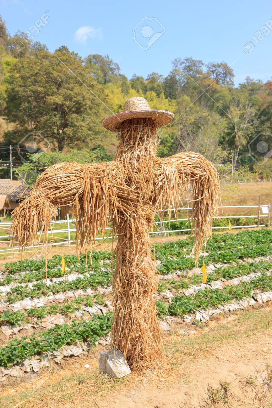 18364027-scarecrow-made-of-straw.jpg