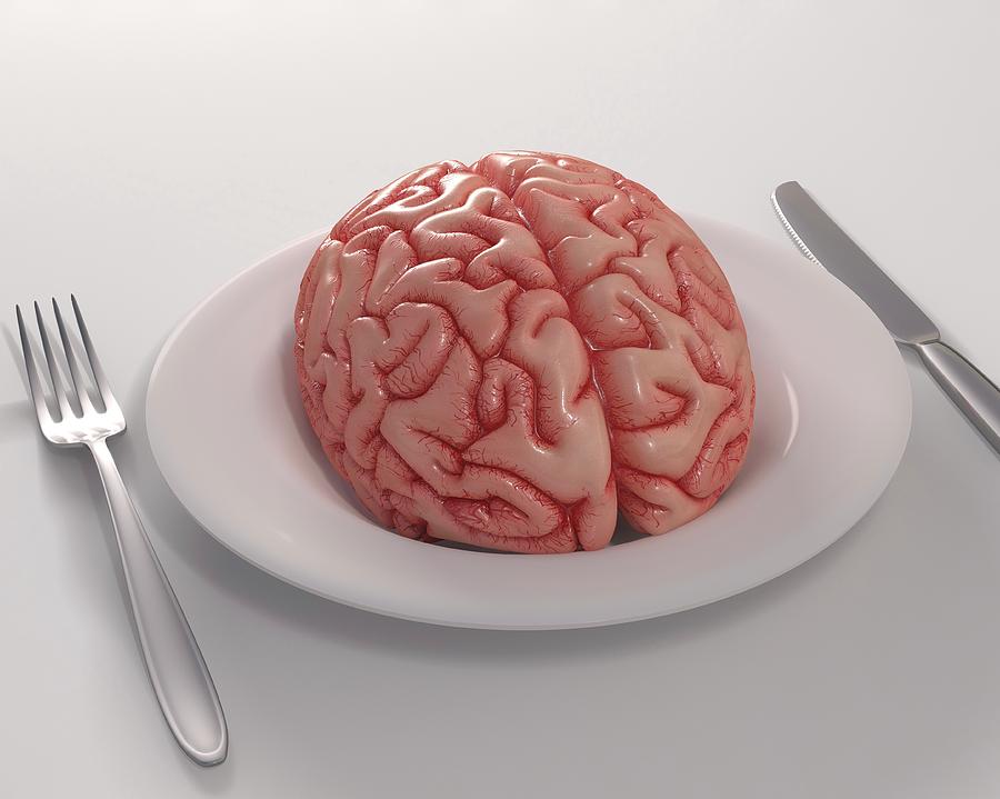 human-brain-on-dinner-plate-ktsdesign.jpg