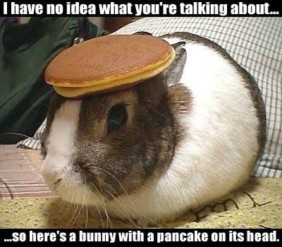 jokes-funny-bunny-pancake