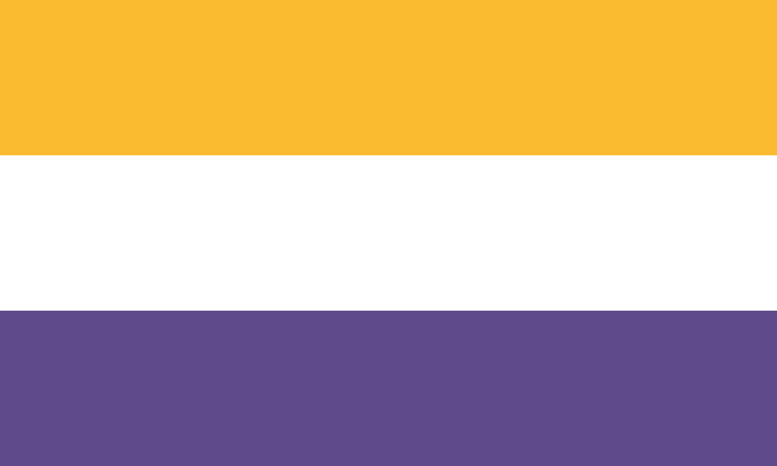 2560px-Women%27s_Suffrage_Flag_%28United_States%29.svg.png