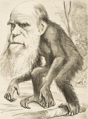 Editorial_cartoon_depicting_Charles_Darwin_as_an_ape_1871-e1439222013898.jpg