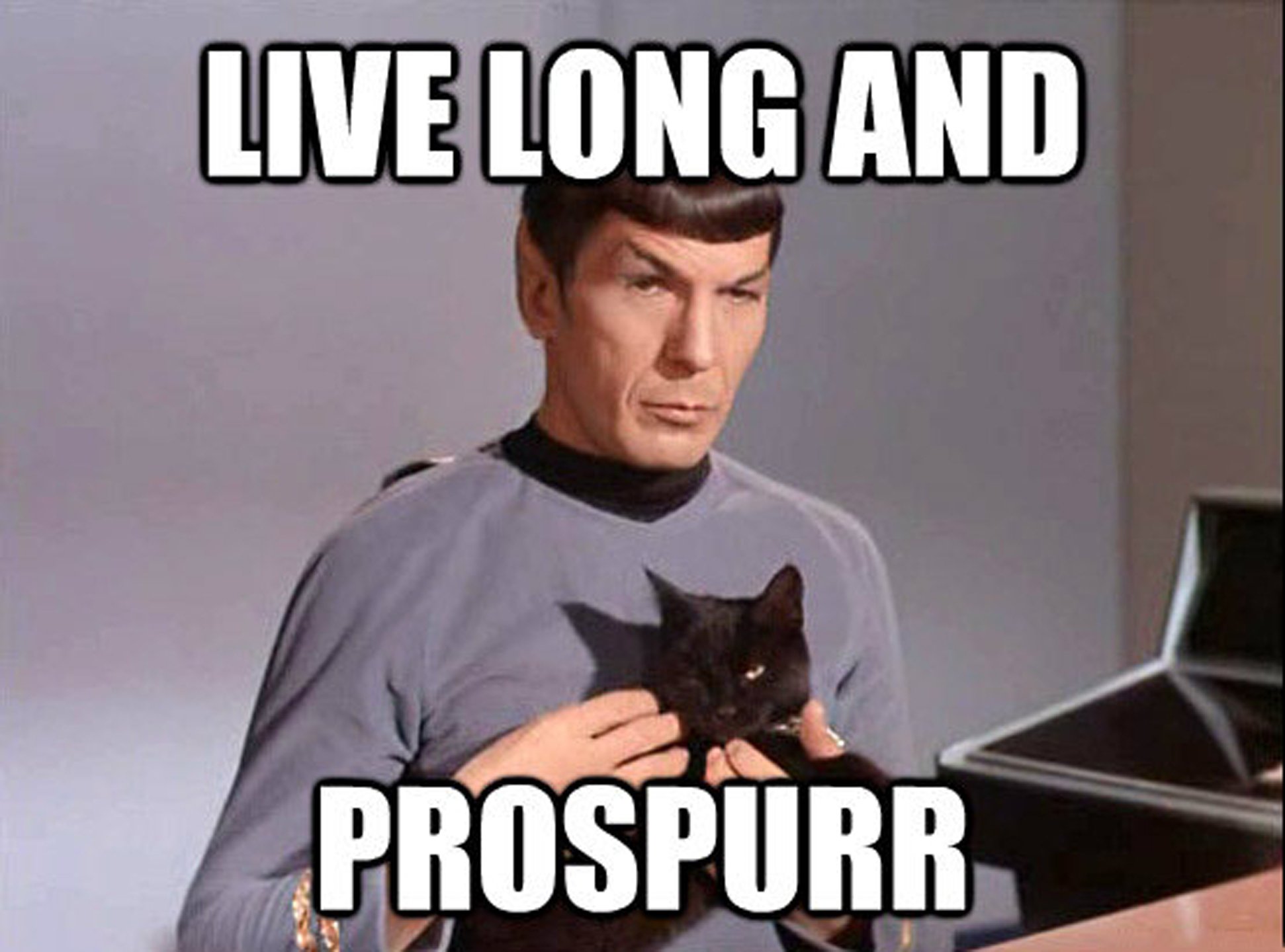 Star-Trek-Prospurr-Spock-Meme.jpg