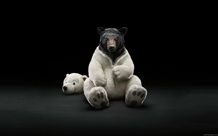 black-bear-in-polar-bear-costume-white-and-black-bear-plush-toy-wallpaper-preview.jpg