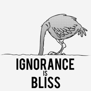 ignorance_is_bliss_t_shirt-r798449cb9ef044ef9e1bec152991fc2f_k2gr0_307.jpg