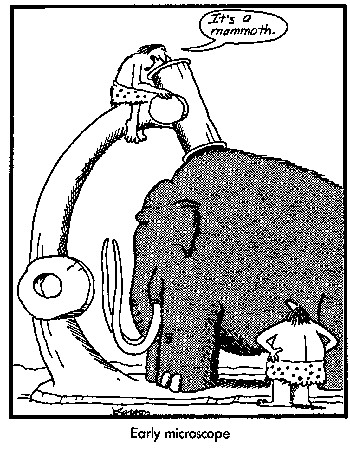 FarSideMicroscope.gif