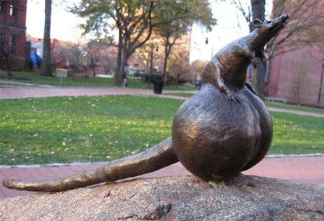 statue+rat+with+huge+balls+dr+heckle+funny+wtf+pictures.jpg