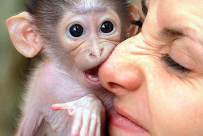 Monkey-Bite-Funny-Pics.jpg