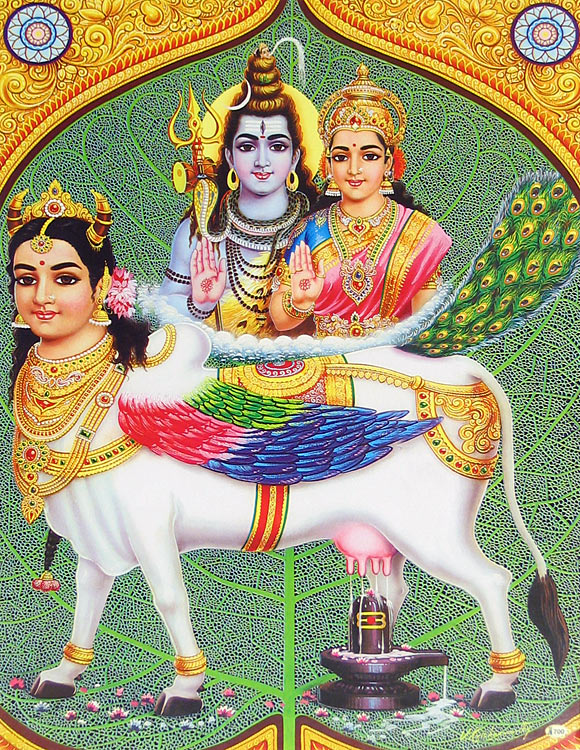 Pegasus+2+cow+hindu.jpg