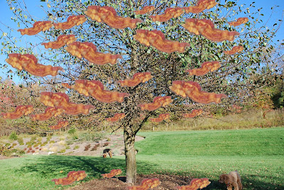 bacon+tree.jpg