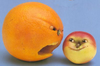 yelling+orange+with+plum.jpg