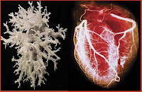 fulgurite+heart.jpg