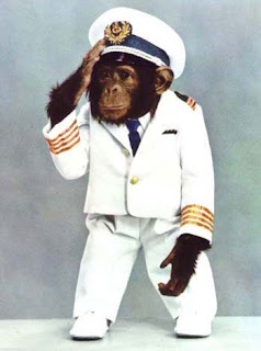 captain-chimp.jpg