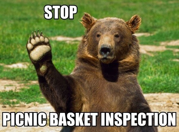 028-funny-captions-017-bear-stop-picnic-basket-inspection.jpg