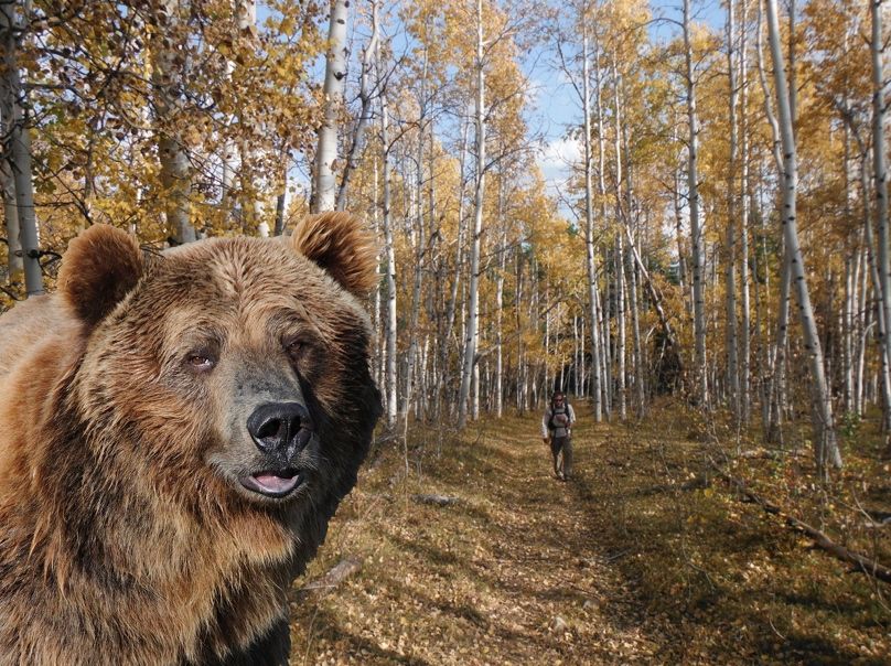 Bear%2BSelfie%2B2%2BFinal.jpg