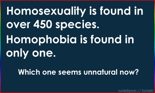 homosexual_species.jpg