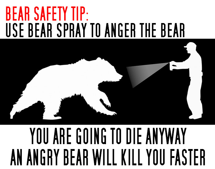 bearspray.jpg