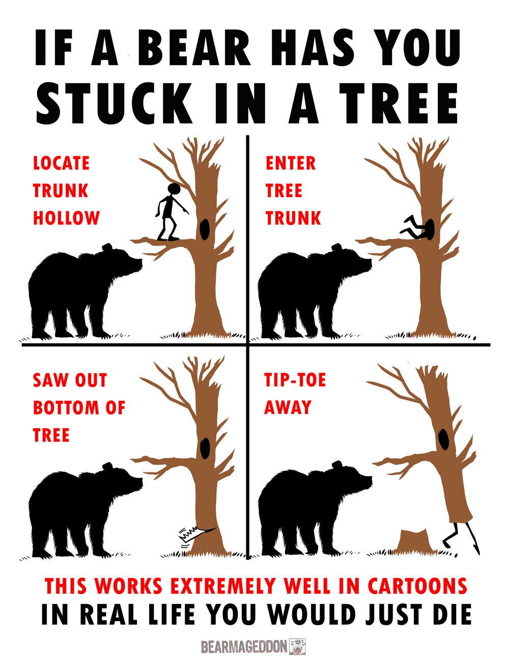 Bear-up-tree-CARTOON.jpg