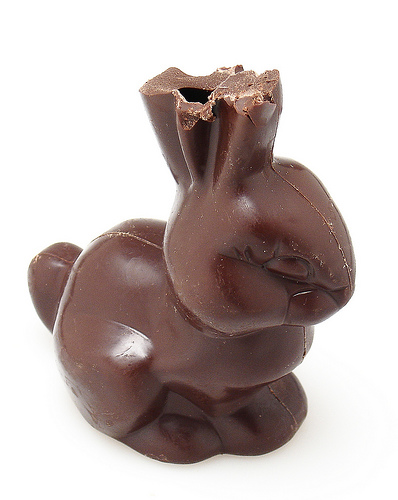 chocolate-bunny.jpg