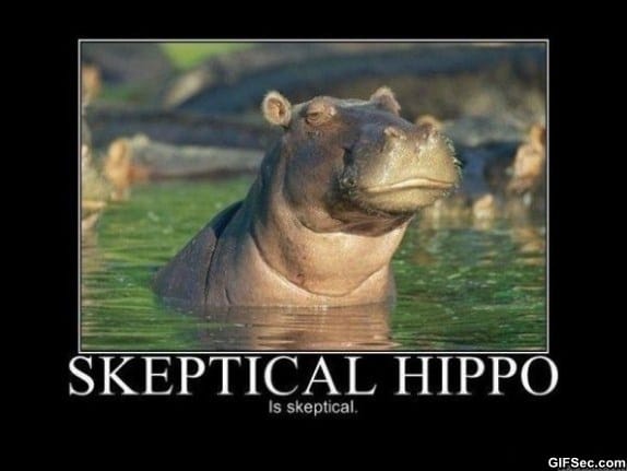 funny-hippo.jpg