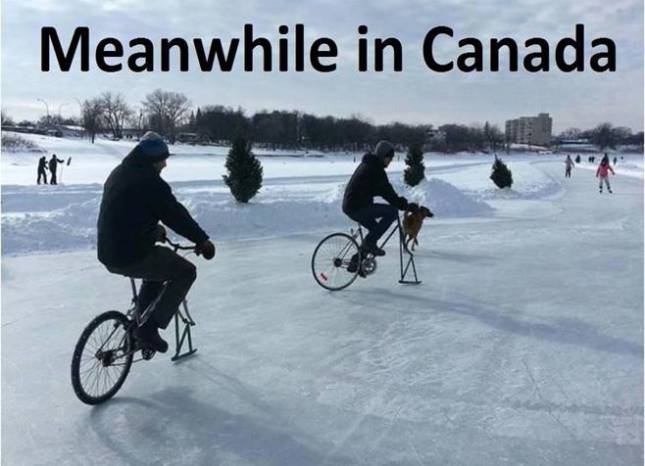 canadian-snow-humoure2808f_029.jpg