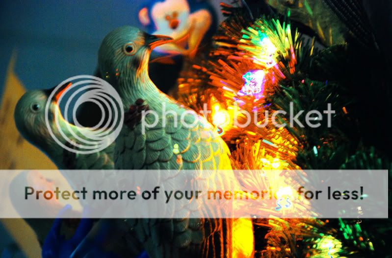 HDR-Mathbird-Wreath.jpg