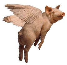 FlyingPig.gif